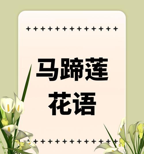 手捧花的花语和象征意义是什么？如何选择寓意美好的手捧花？