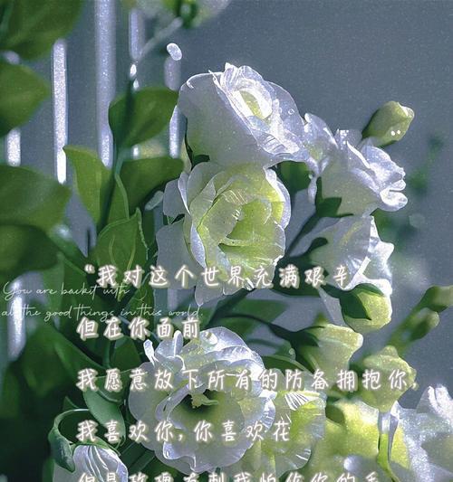 什么花的花语代表道歉？了解对不起的花语含义是什么？