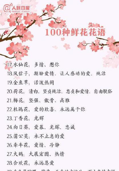 花朵各种花语是什么？如何根据场合选择合适的花卉？