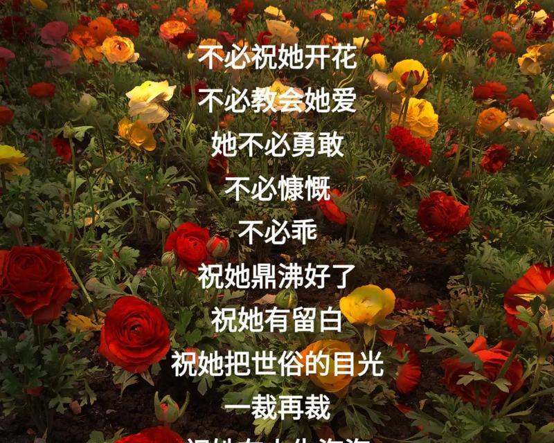 象征自由灵魂独立的花是什么花？这种花的花语有何含义？