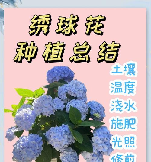 寓意我不爱你的花是什么花？这种花的含义你知道吗？