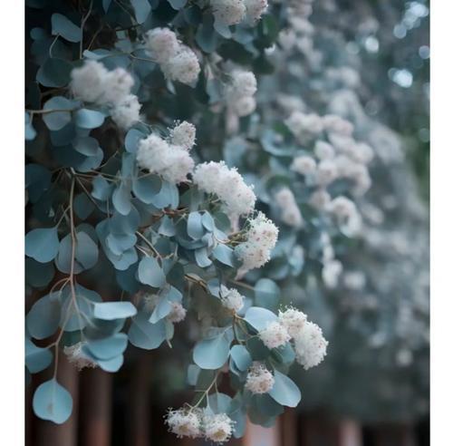 寓意我不爱你的花是什么花？这种花的含义你知道吗？