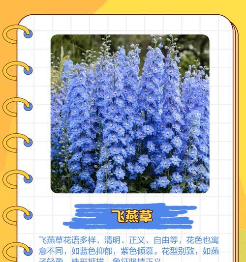 知花语什么含义？如何理解花语的深层含义？