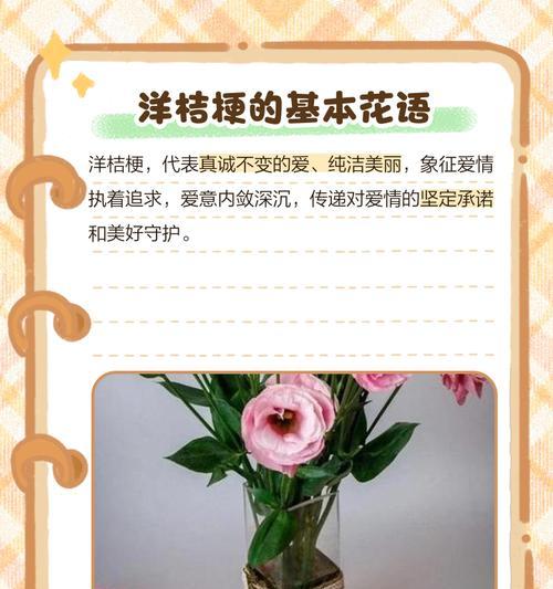 知花语什么含义？如何理解花语的深层含义？