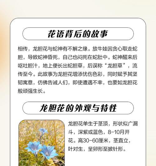 知花语什么含义？如何理解花语的深层含义？