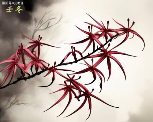 白色花藤代表什么寓意？白色花藤象征着什么？