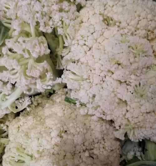 白象花象征什么含义？白象花的花语有哪些？