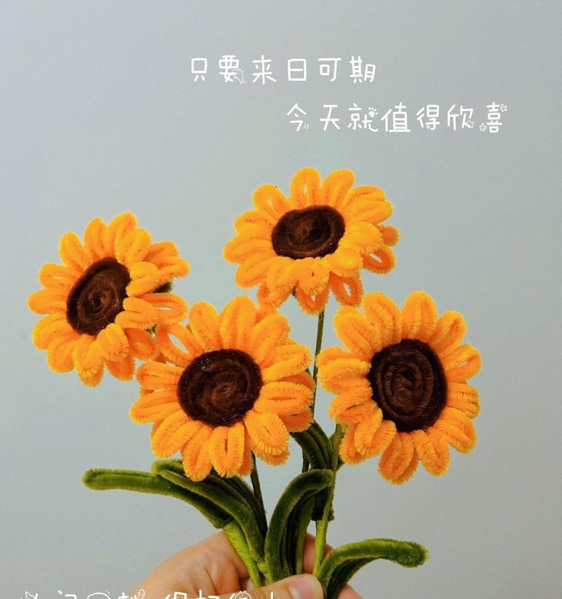 什么花代表开心？揭秘开心花语背后的含义？