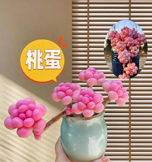 桃子的花语是什么意思？如何理解桃子的花语象征？