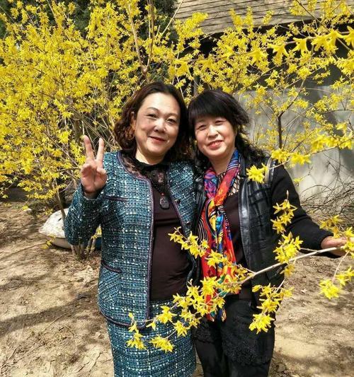 象征姐妹情的花叫什么？哪种花最能代表姐妹之间的深厚情谊？