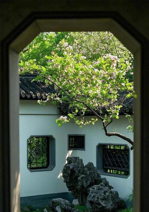 疏影花代表什么含义？疏影花的象征意义有哪些？