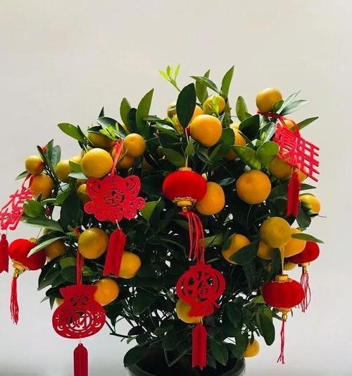 发财花有哪些？寓意发财的花卉种类和特点是什么？
