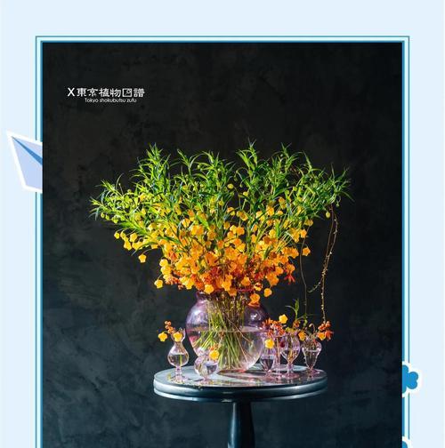 十二花灯的花语是什么？每种花灯背后的意义解读？