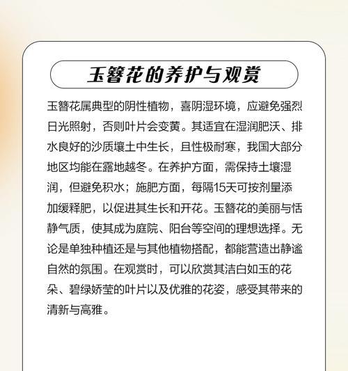 玉珍花的寓意是什么？使用时需要注意哪些禁忌？