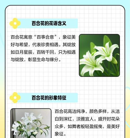皇冠百合花的花语和寓意是什么？如何挑选和养护？
