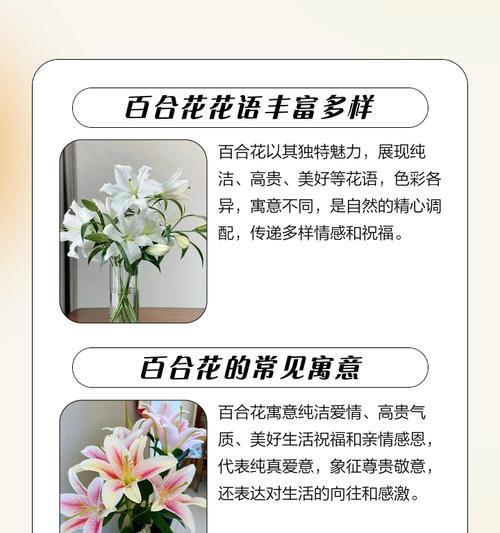 皇冠百合花的花语和寓意是什么？如何挑选和养护？