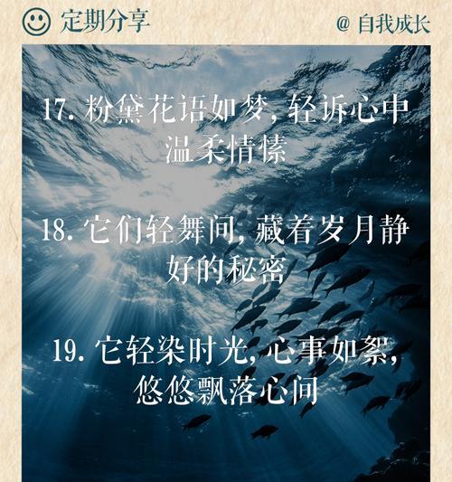 粉黛花语是什么意思？如何理解粉黛的花语含义？