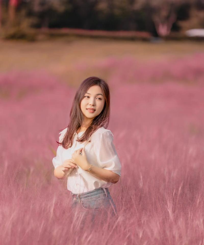 粉黛花语是什么意思？如何理解粉黛的花语含义？