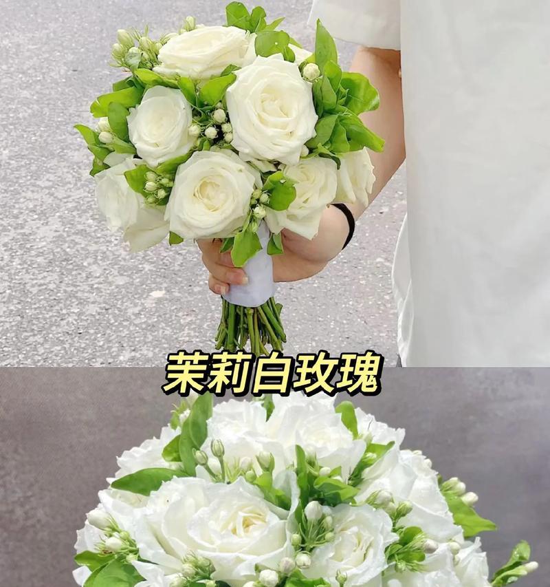 手捧花象征平和的花语是什么？如何挑选寓意和平的手捧花？