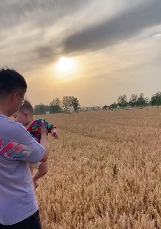 发光的小麦花语是什么？它的象征意义有哪些？
