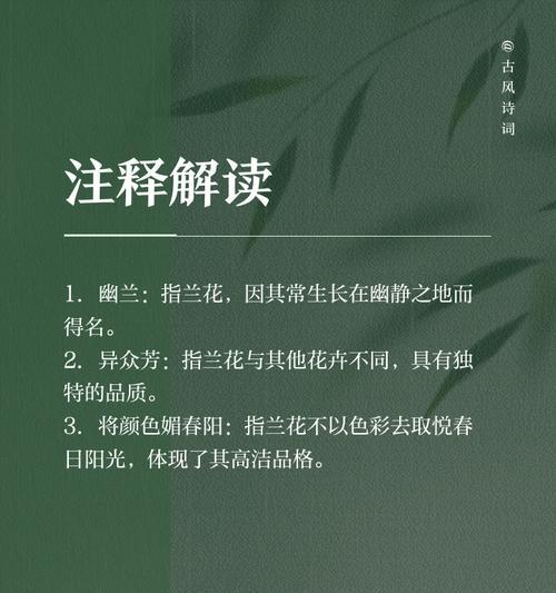 墨兰花语是什么？了解墨兰的象征意义和文化背景？