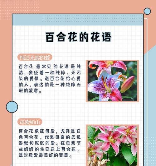 玉玲珑花的寓意象征是什么？了解其文化含义和象征意义？