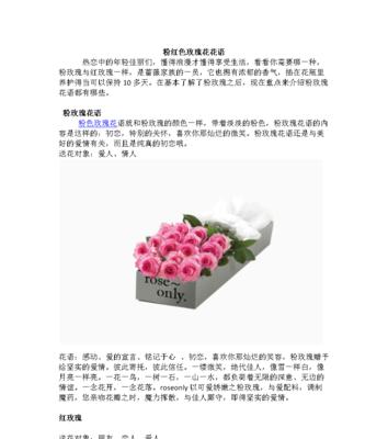玫瑰花的花语是什么意思？不同颜色和数量的玫瑰代表什么？