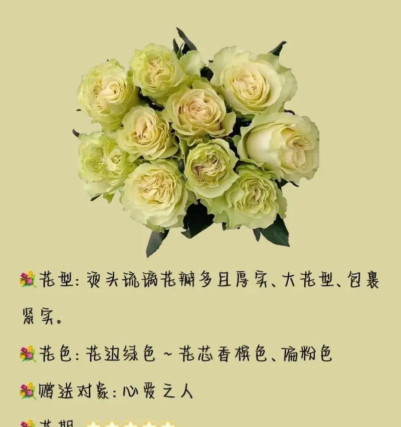 花束搭配花语是什么？如何根据场合选择合适的花束？