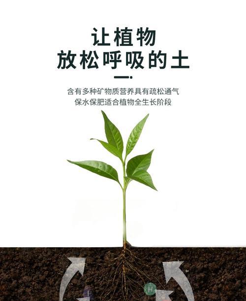 自制营养剂制作肥料的步骤是什么？