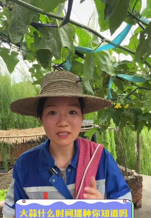 大蒜播种的最佳季节是什么时候？