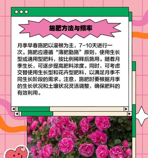 月季水肥配制方法及比例是什么？