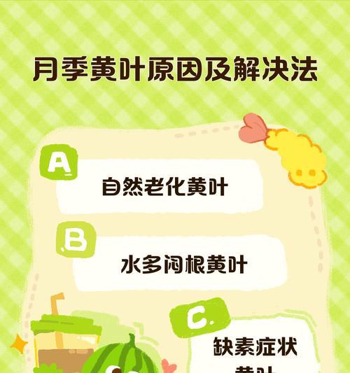 月季生长缓慢的原因及解决办法是什么？