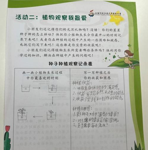 白萝卜出苗后正确的浇水方法是什么？