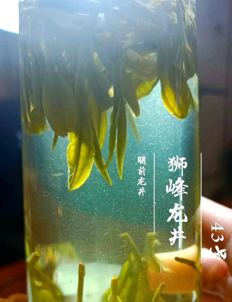 如何用玻璃杯成功养花？