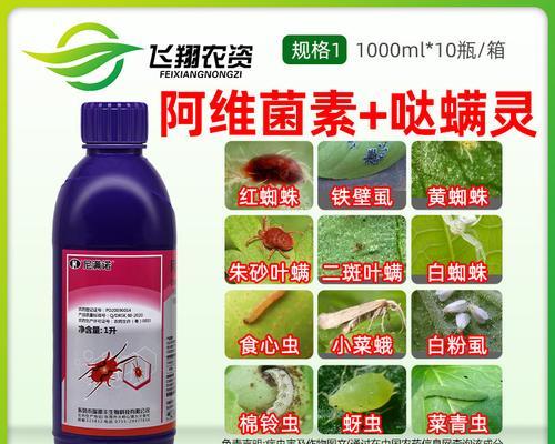 大红灵叶子发黄的解决方法是什么？