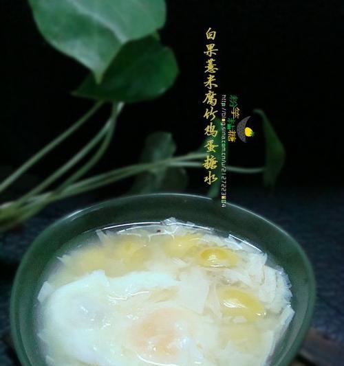 腐竹叶子发黄怎么办？如何防止叶子发黄？