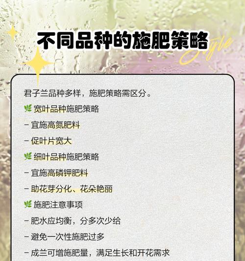 君子兰盆栽用什么肥？如何选择合适的肥料？