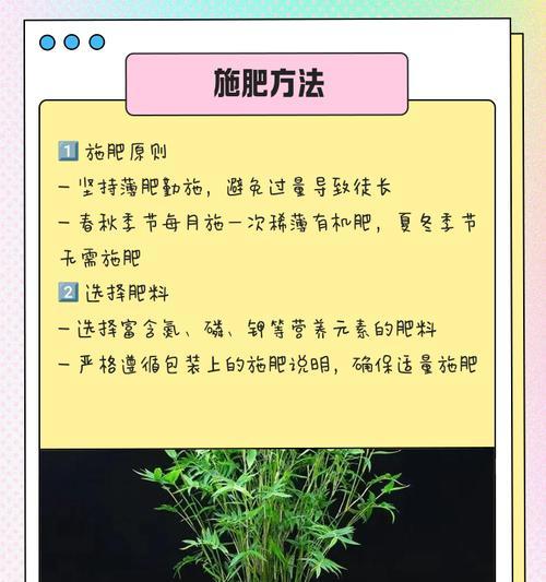 米竹叶子发黄干枯的解决方法是什么？