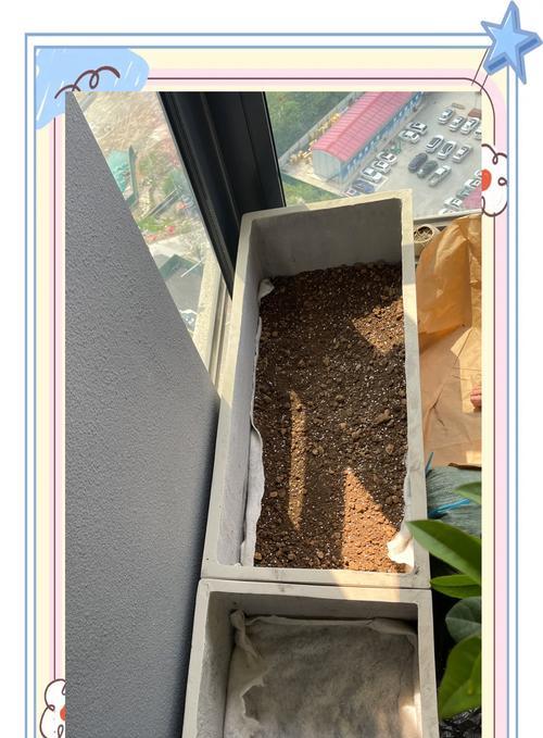君子兰被称为死人花的原因是什么？