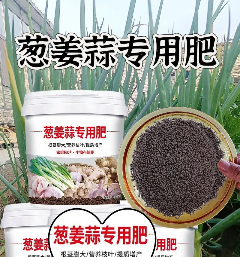 自制生蒜苗肥料的方法是什么？