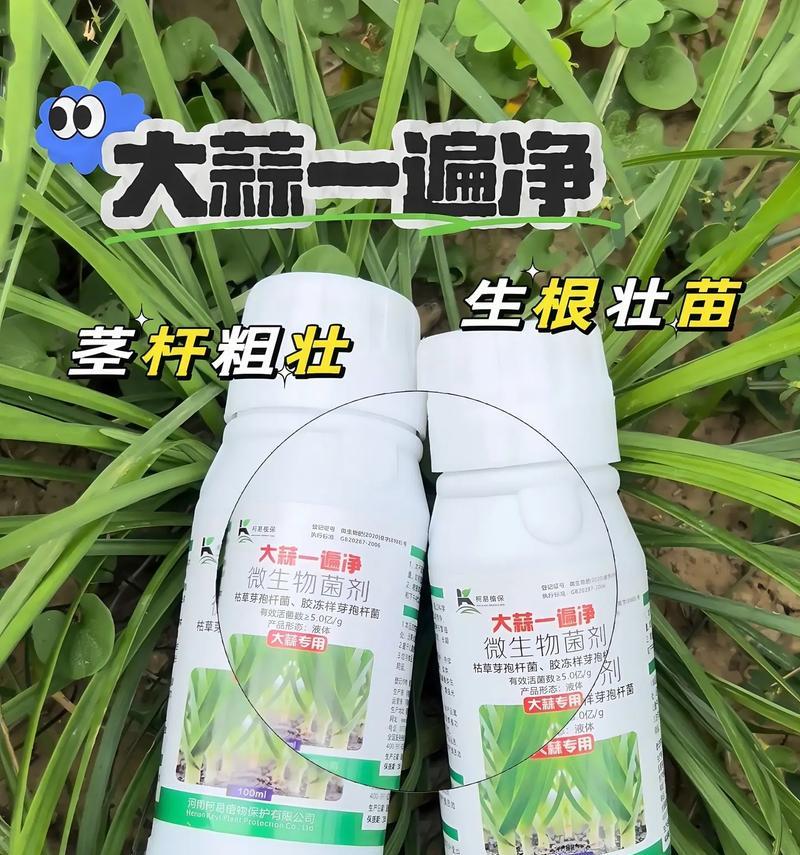 自制生蒜苗肥料的方法是什么？