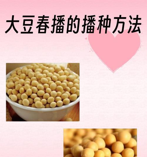 播种时应该使用哪种肥料？