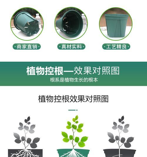 月季育苗神器透明的正确使用方法是什么？