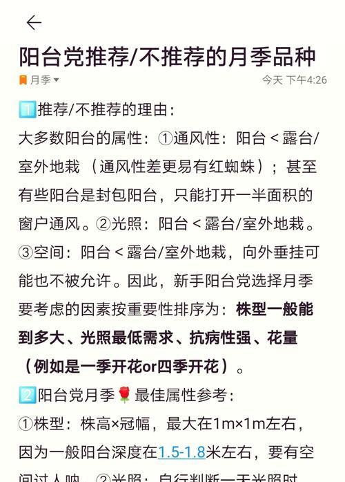凉台种植的月季如何进行良好养护？