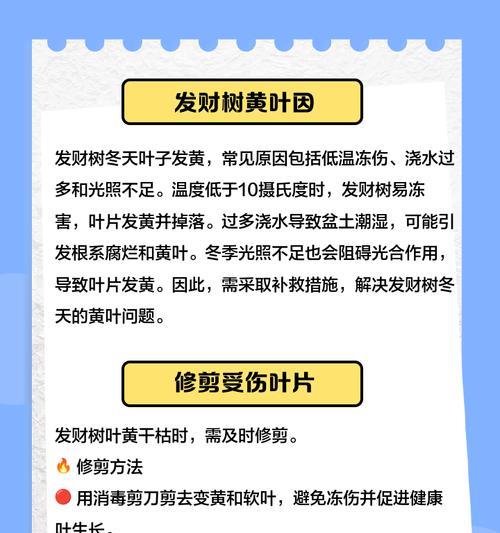 冰草苗叶子发黄是什么原因？如何进行有效处理？