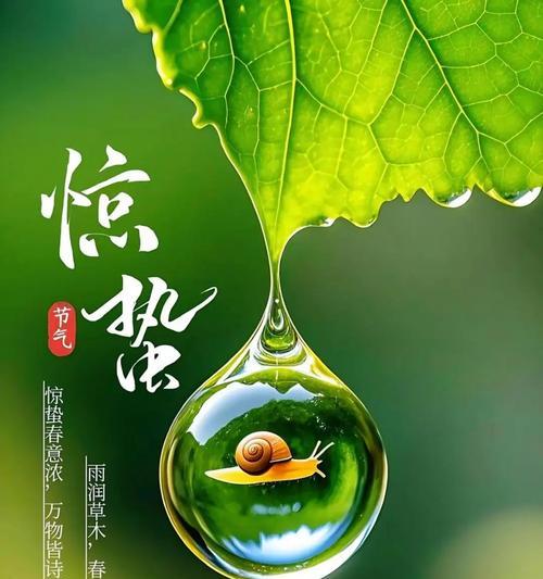 种子什么节气播种最好？播种的最佳节气有哪些？