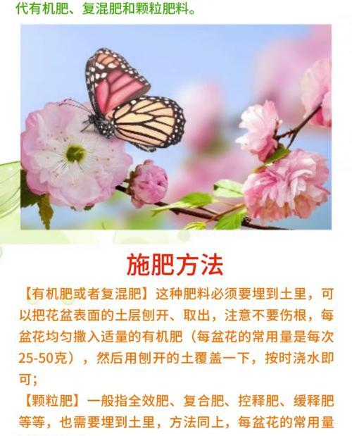 兰科植物通用营养液推荐？如何选择合适的营养液？