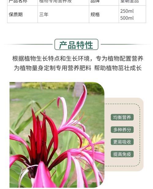 兰科植物通用营养液推荐？如何选择合适的营养液？