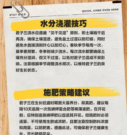 君子兰根生芽的条件和养护方法是什么？