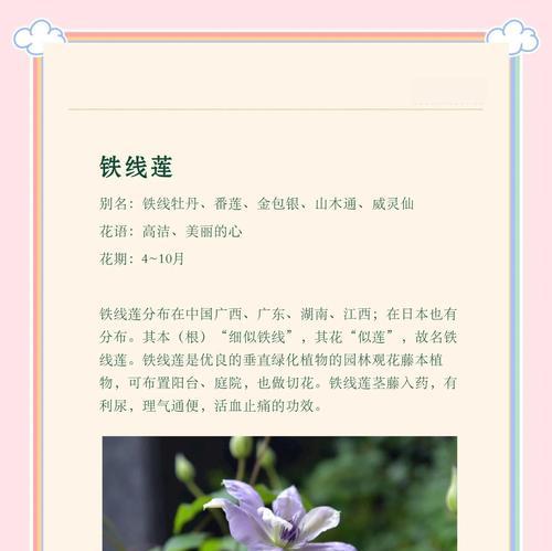 铁线莲根系存活的条件及养护方法是什么？